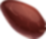 cacao pepa 2