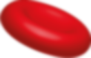globulo