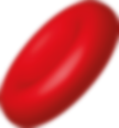 globulo2